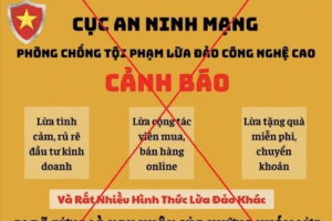 Làm sao tránh dự án scam trong crypto? 6 dấu hiệu cảnh báo quan trọng