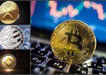 Altcoin là gì? Có nên đầu tư vào các loại coin thay thế Bitcoin?