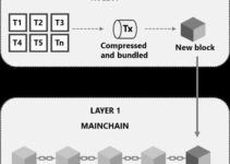Layer 2 là gì? Giải pháp mở rộng cho Ethereum và các mạng lưới khác