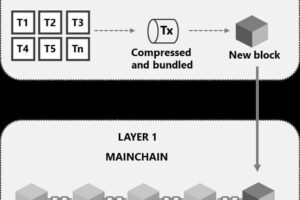 Layer 2 là gì? Giải pháp mở rộng cho Ethereum và các mạng lưới khác