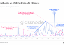 Lợi nhuận staking coin – Cách tính và tối ưu lợi suất