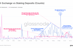 Lợi nhuận staking coin – Cách tính và tối ưu lợi suất