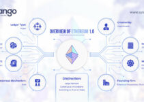 Đầu tư crypto dài hạn – 5 đồng coin tiềm năng trong 5 năm tới