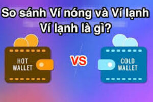 Ví lạnh và ví nóng khác nhau thế nào? Khi nào nên dùng loại nào?